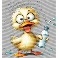 Animal Text Series-AT 546